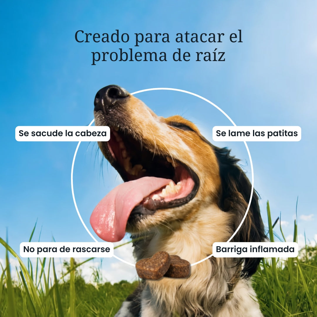 PetLieve™ Masticables para Perros con Alergia y Picazón
