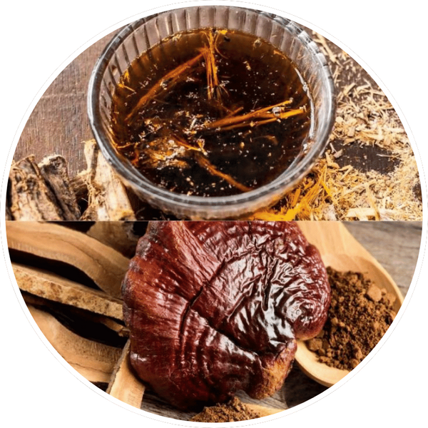 Hongo Reishi + Raiz de Regaliz